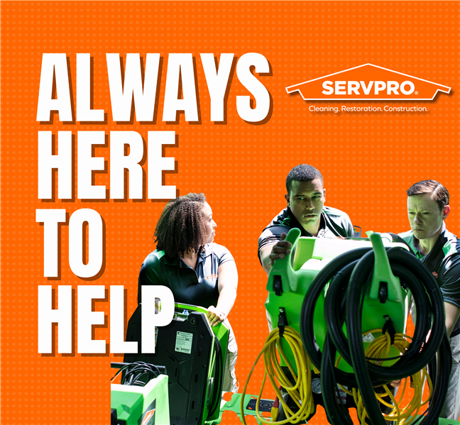 A diverse team of Servpro professionals engaged in water damage restoration, examining specialized equipment. The background 